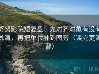 努努影院短复盘：先对齐对象有没有说清，再把单位补到图旁（读完更清醒）