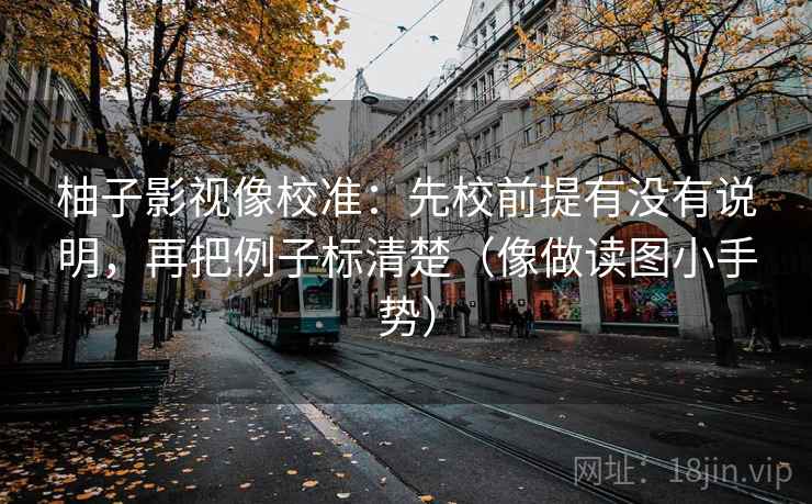 柚子影视像校准：先校前提有没有说明，再把例子标清楚（像做读图小手势）